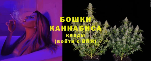 стаф Волосово