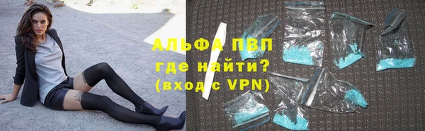 стаф Волосово