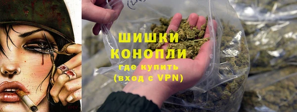 стаф Волосово