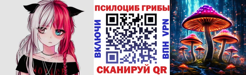 Купить где  Великий Новгород  Псилоцибиновые грибы мухоморы 