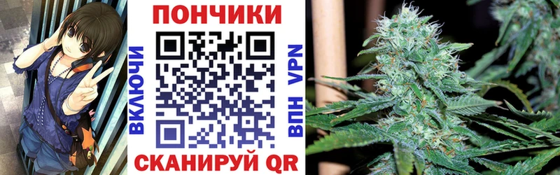 Купить  Великий Новгород  Каннабис семена 